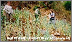 Myanmar-American Survey-tearm Photo4